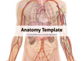 Anatomy Keynote Template 1 - Anatomy