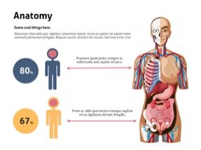 Anatomy Keynote Template 10 - Anatomy