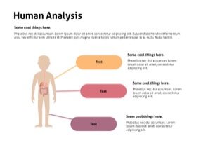 Anatomy Keynote Template 8 - Anatomy