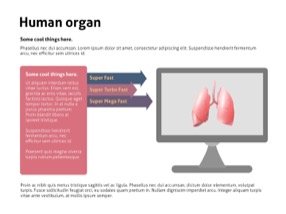 Anatomy Keynote Template 9 - Anatomy