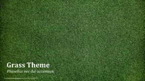 Grass Keynote Template 1 - Grass