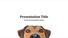 Dog Keynote Template 1 - Dog