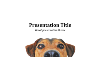 Dog Keynote Template