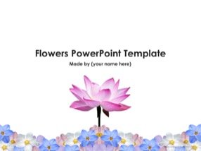 Flowers Keynote Template 1 - Flowers