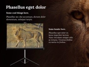 Lion Keynote Template 3 - Lion
